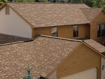 Shingles5